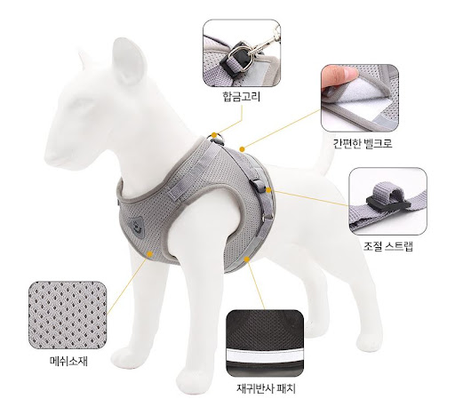 강아지 하네스 필수템! 루이파파몰에서 다양한 종류로 만나보세요
